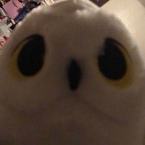 Meet your Posher, Noemi